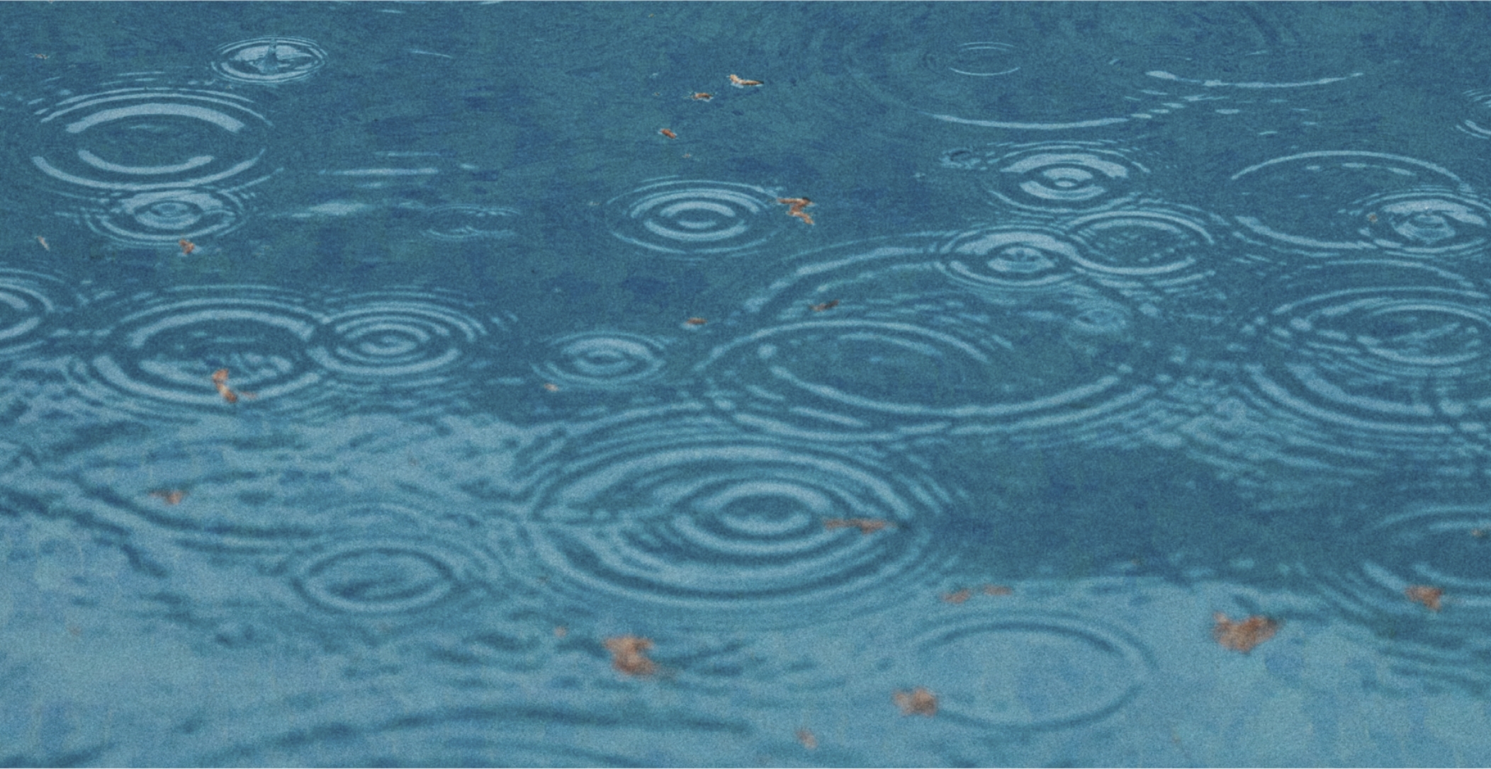 雨降りの水たまりの写真