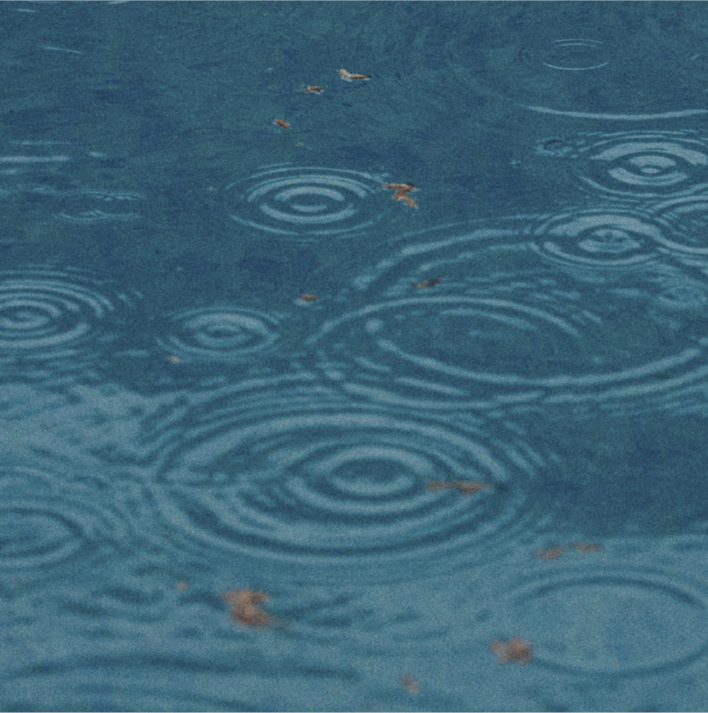 雨の波紋のイメージ写真